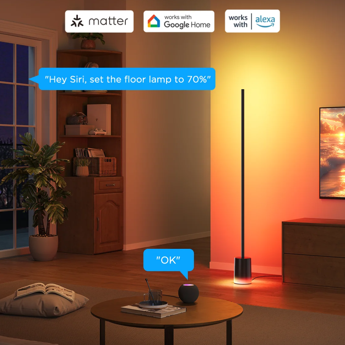 Govee Floor Lamp 2