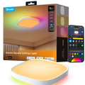 Govee 12 inch Smart Ceiling Light