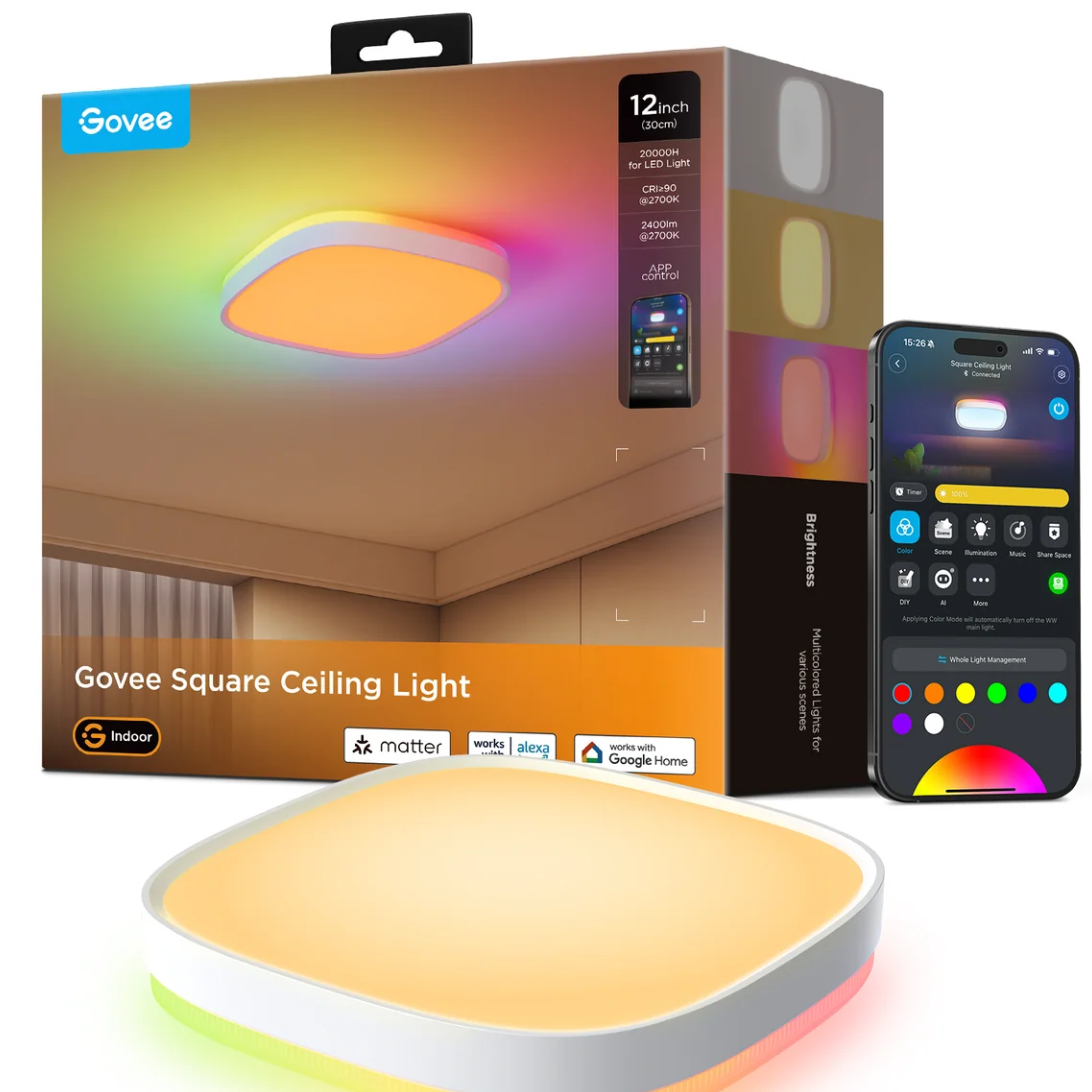Govee 12 inch Smart Ceiling Light