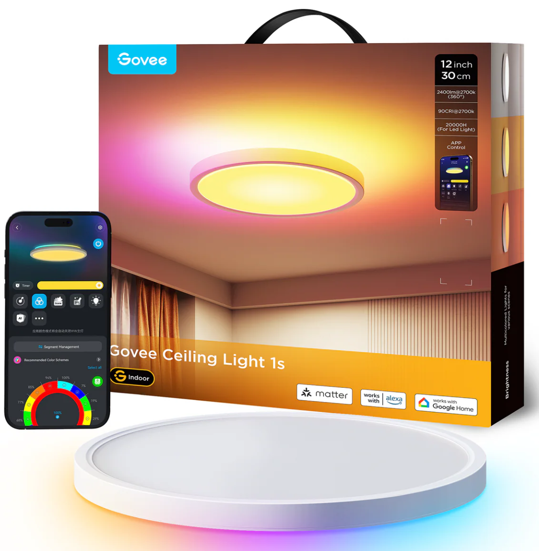 Govee 12 inch Smart Ceiling Light