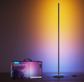 Govee Floor Lamp Lite