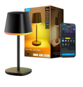 Govee Table Lamp with Battery