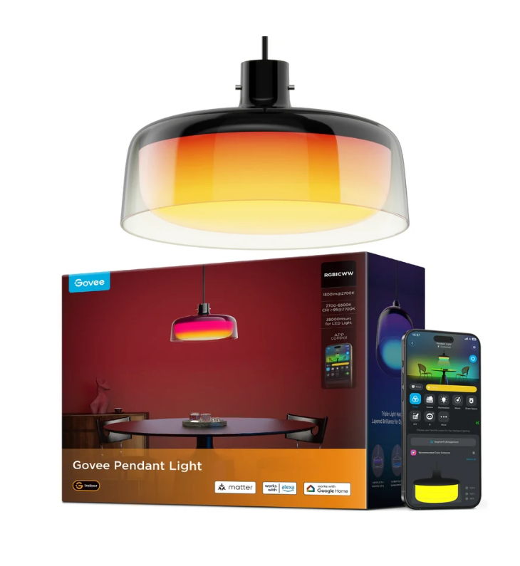 Govee Pendant light