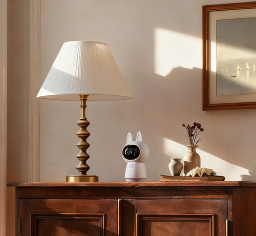 Aqara Camera G350 Hub Select